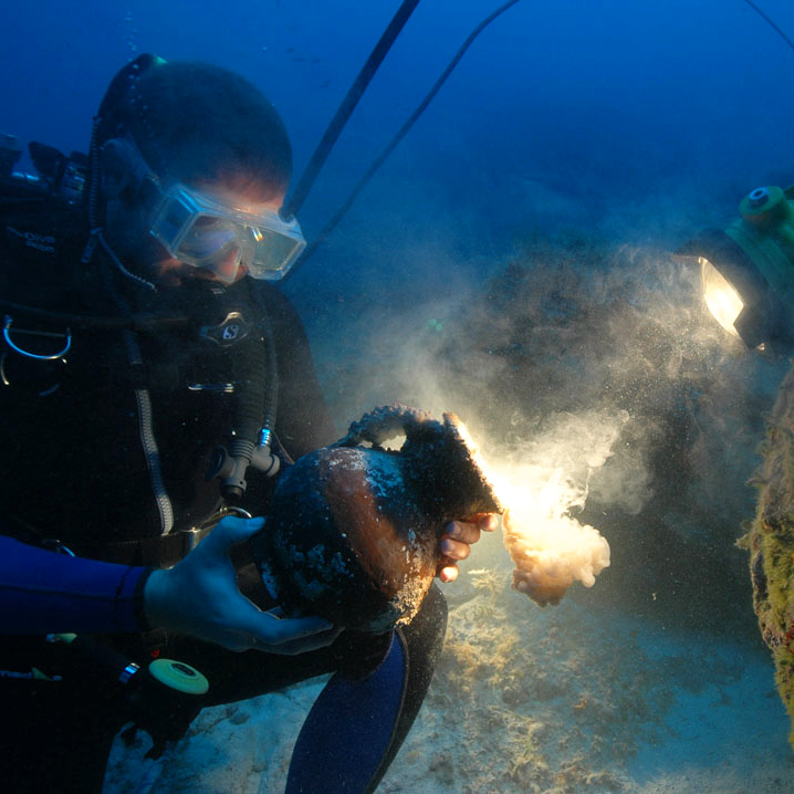 Join us on Wednesday, April 17, at 8 pm ET/5 pm PT for 'Excavating a Shipwrecked Marble Column Destined for the Temple of Apollo at Claros,' presented by underwater archaeologist Deborah Carlson (Texas A&M). Register here: ow.ly/jtEb50R5QAq