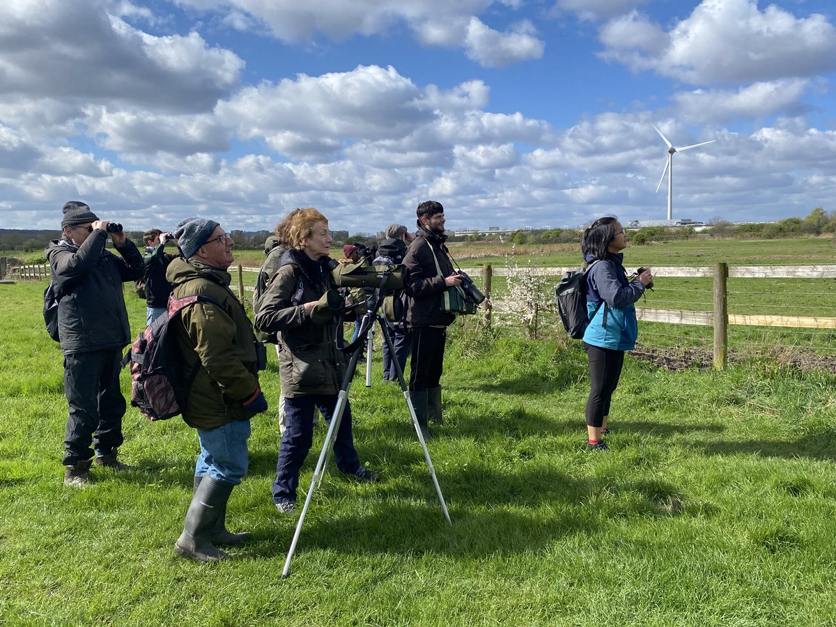 London Bird Club walk <a href="/LondonBirdClub/">London Bird Club</a> <a href="/LNHSoc/">LNHS</a> on Sun 24 March, Crossness beside River Thames. Close views of wintering waterfowl. 41 Birds incl. Teal, Shoveler, Gadwall, Peregrine, Kestrel, Marsh Harrier. LNHS Programme pdf on lnhs.org.uk #londonbirds #londonwildlife