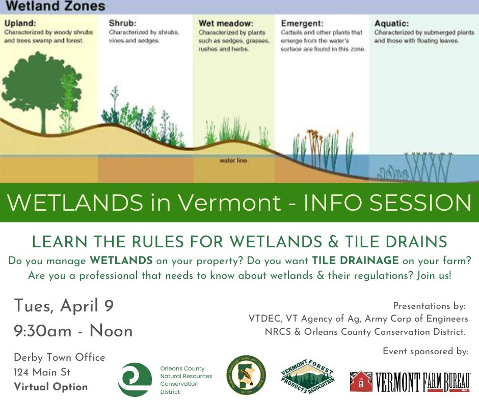 WETLANDS in Vermont INFO SESSION: Learn the Rules for Wetlands & Tile Drains Tues, April 9 9:30 am - Noon Derby Town Office (124 Main St) Virtual option: Teams Meeting link: buff.ly/3vvLZmB