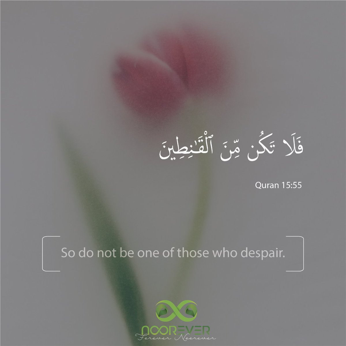 Noorever1's tweet photo. فَلَا تَكُن مِّنَ ٱلْقَـٰنِطِينَ
Quran 15:55
---
So do not be one of those who despair.
#ayahoftheweek #ayah #islam #noorever #islamicquotes #dua #quran #prayer #peace #prophetmuhammadﷺ #quranquotes #religion #faith #islamiccontent https://t.co/nZuicOvViD