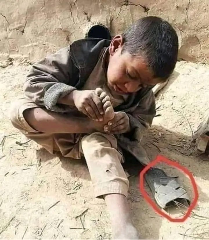موت تو نام سے بدنام ھوئی ورنہ🫠
تکلیف تو زندگی بھی دیا کرتی ھے💔😓
@Poor_child 
<a href="/IrfanZehri100/">Irfan Zehri Baloch  (انسانیت سے پیار)</a> فاؤنڈیشن 
<a href="/Kashmiri199/">Nyctophile</a> کی