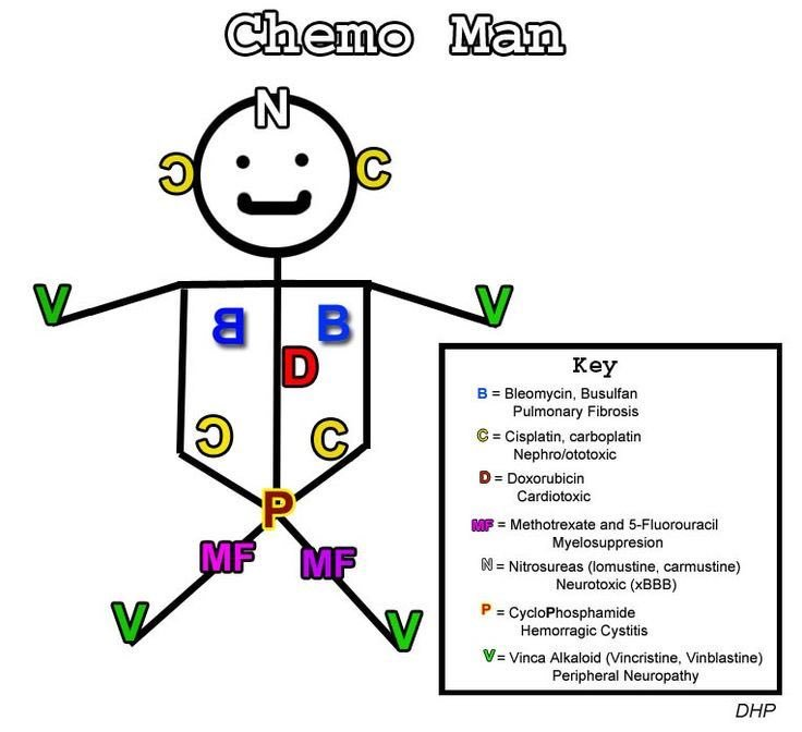 Cisplatin, Carboplatin: Nephro/Ototoxic
Cyclophosphamide, Ifosfmide: Hemorrhagic cystitis
Doxorubicin: Cardiotoxicity
Vinca: Peripheral neuropathy
TP1 (-): Diarrhea
Busulfan, Bleomycin: pulmonary fibrosis
Methotrexate, 5FU: Hepatotoxicity, Myelosuppression