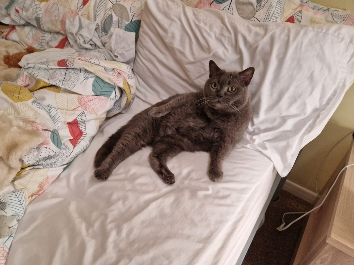 I do enjoy a bank holiday Monday