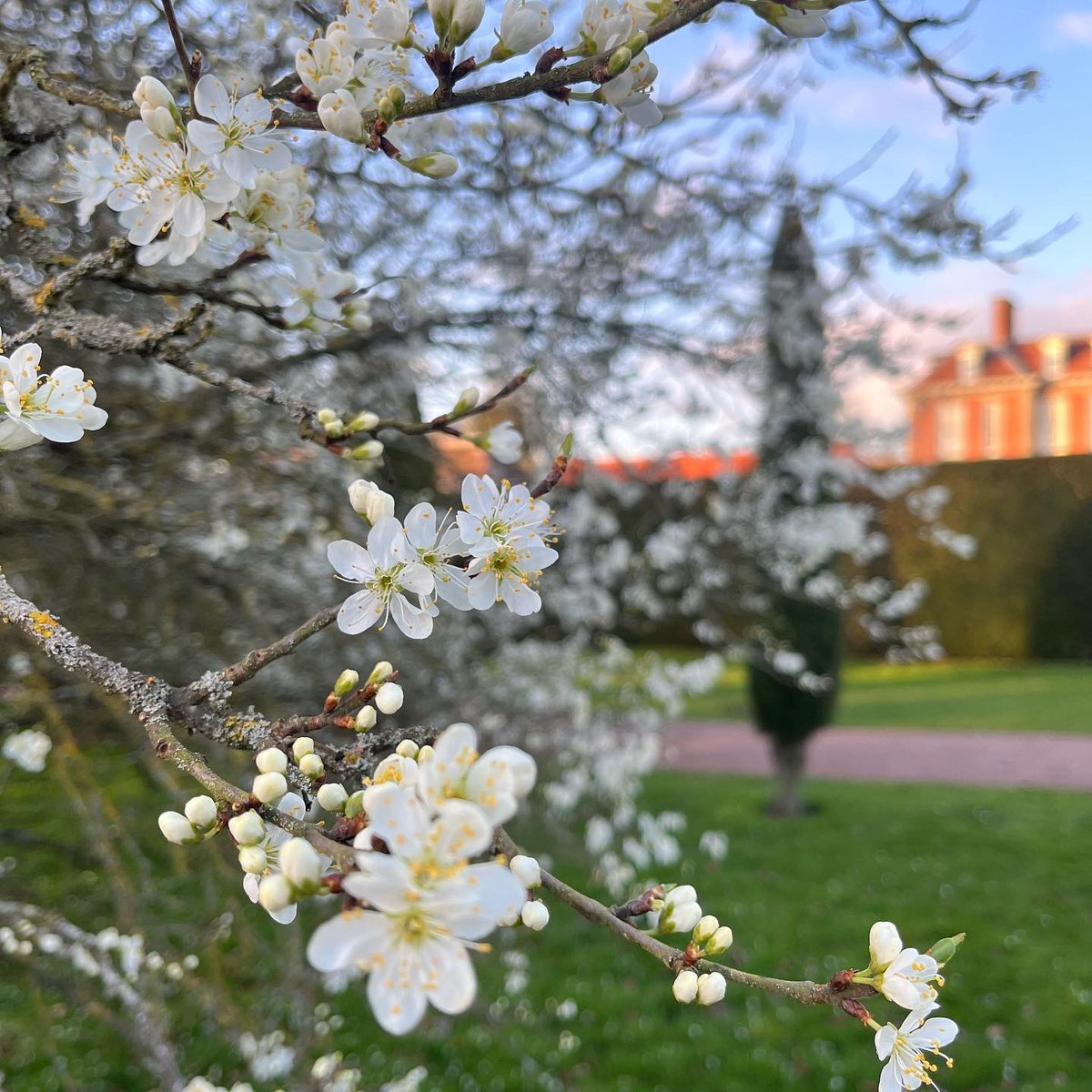 Happy 1st of April 🌸 

The fruit trees are springing into life across the gardens with beautiful blossom adorning the branches. Join us for the #FestivalofBlossom later in the month where we will celebrate these pastel petals with crafts, talks & blossom bathing. 

#BlossomWatch