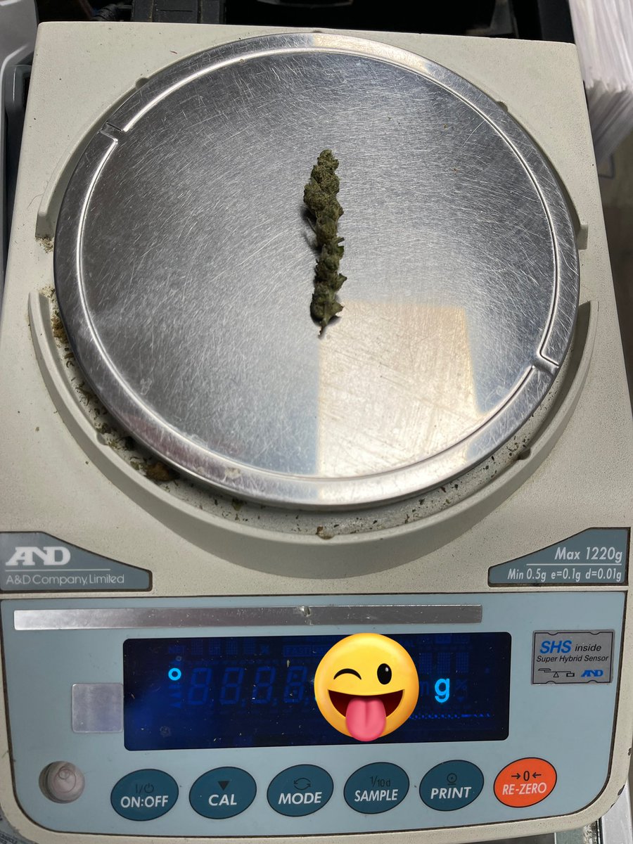 🍁Guess the weight on this nug in the comments and win a free CannaCard NFT & Tag someone you would share this huge nug with! 😂

✅must like and share post 
✅must follow account 
✅must puff puff pass 💨

#GiveawaAlert #Giveaway #Airdrop #AirdropAlert #cannabis #nft
