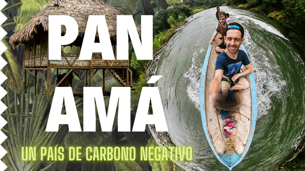#Panamá, aventura en un país de carbono negativo contra el #cambioclimático ♻️🌎🇵🇦

▶️ bit.ly/BienviajadosPa…

#turismosostenible #NetZero #Reforestación #biodiversidad #turismoresponsable