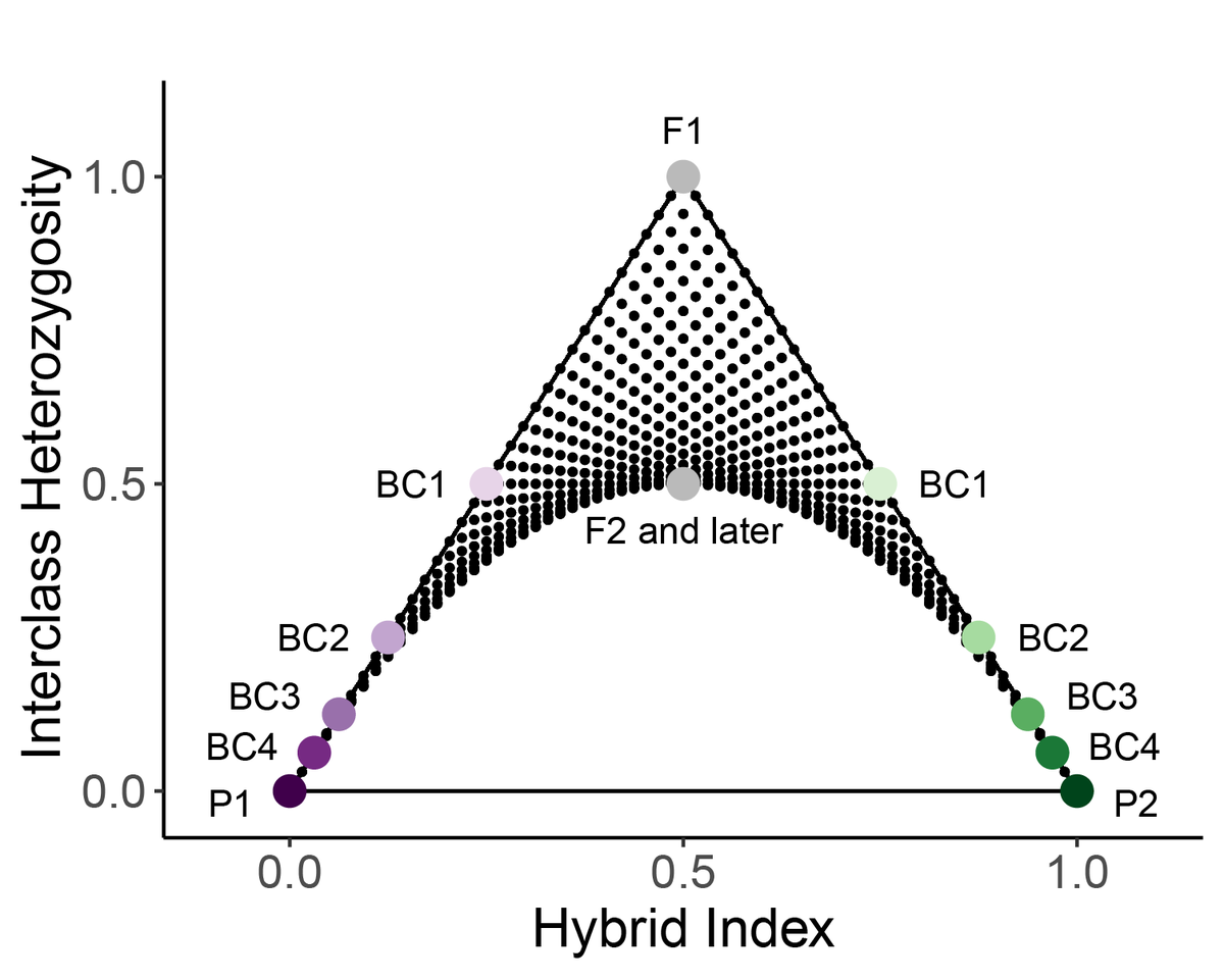 Check out triangulaR, my new R package for building triangle plots! I explore how sample size of parental pops and allele frequency difference thresholds influence hybrid index and interclass heterozygosity estimates, see more here:
github.com/omys-omics/tri…
biorxiv.org/content/10.110…