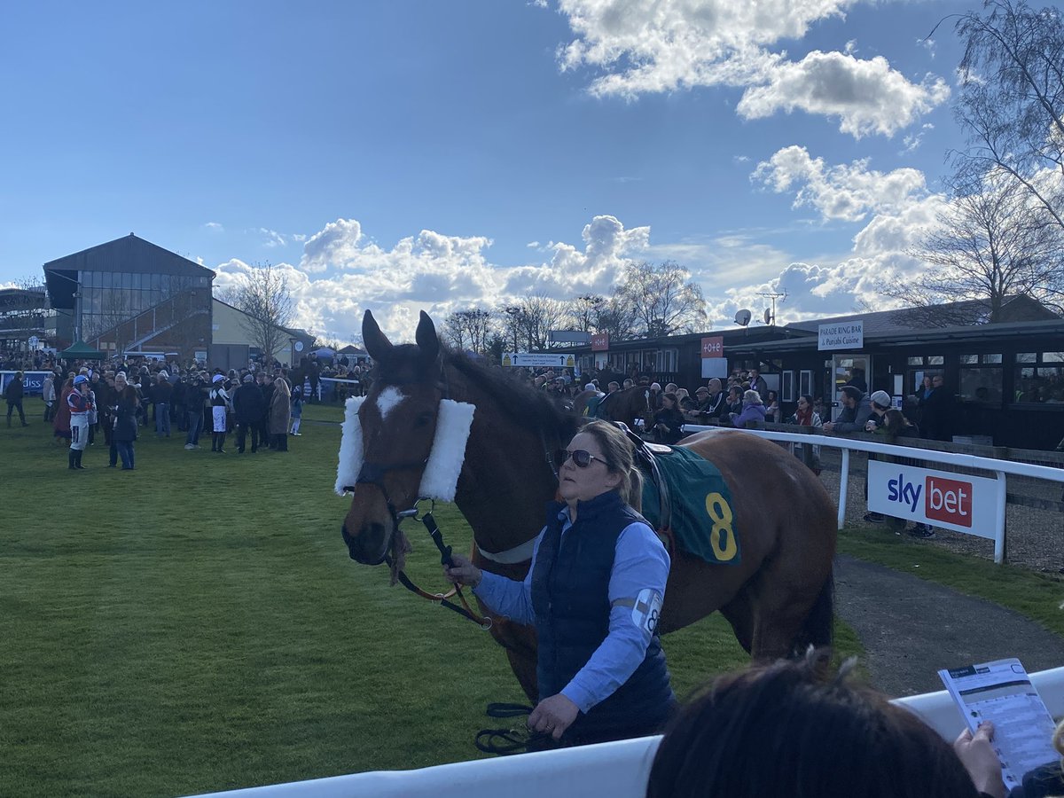 Neoburner's tweet photo. Great day at @FakenhamRC today, seeing Brian Hughes smash it with 3 wins made it enjoyable, thanks to digging in @geegeez_uk for my first win of the day with Glance at Me beating the F as deduced! Surprising race with Jerrash messing my L15 up, Hughes again! 🐎🏇 https://t.co/yavjR11kTm