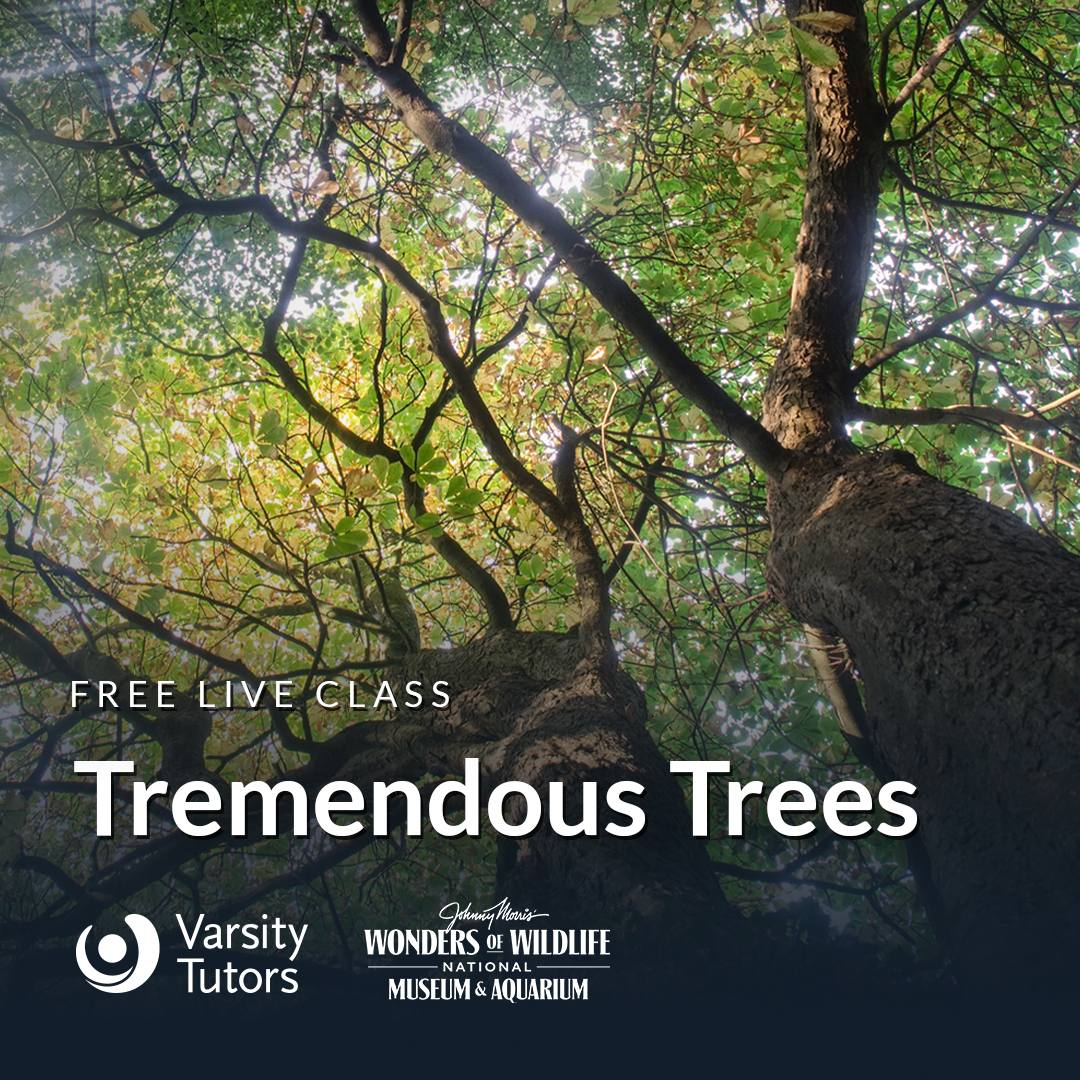 Branch out with @WOWaquarium on 4/2 for a class filled with tree-mendous tales and a sprinkle of forest enchantment, as we celebrate the mighty guardians of the earth for Arbor Day! Register today: bit.ly/3TF6V2m