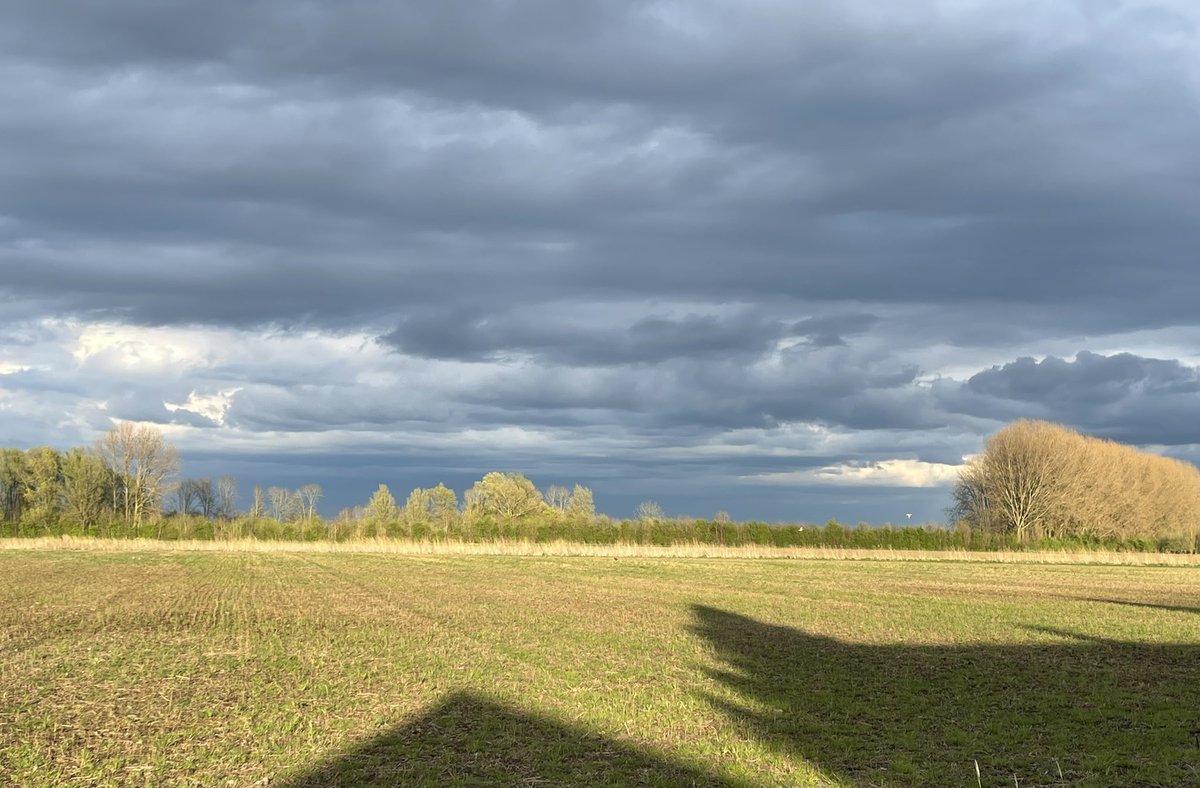 JanineBos's tweet photo. Zo gaat de zon onder in #uppel. Wat een uitzicht… #altena https://t.co/IE2W5J2jlv