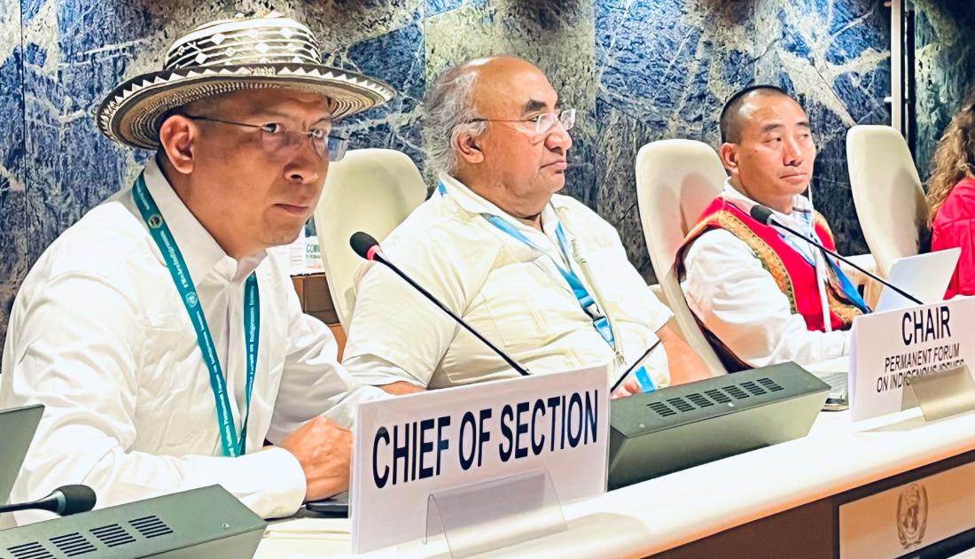 The UNPFII, the Experts Mechanism, and the Special Rapporteur met in Rome to strengthen the implementation of #UNDRIP and address the problematic use of the term “local communities” in conjunction with Indigenous Peoples. ⬇️Read the full outcome doc now: social.desa.un.org/issues/indigen…