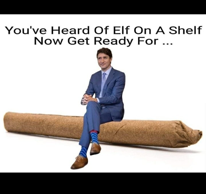 In the comments below say what it's called🤣🤣 @JustinTrudeau #elfonashelf #funny #PoliceState #Corruption