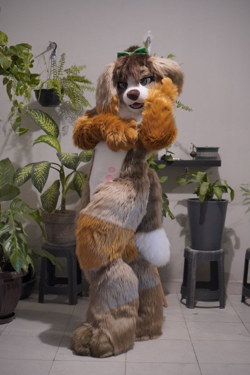 Katsudoggo's tweet photo. Isn't she a lovely puppy? 
Gabby, the Spaniel is ready to rock 💚, really enjoyed making her omg I love her color pallette https://t.co/4EXpuqIHx9