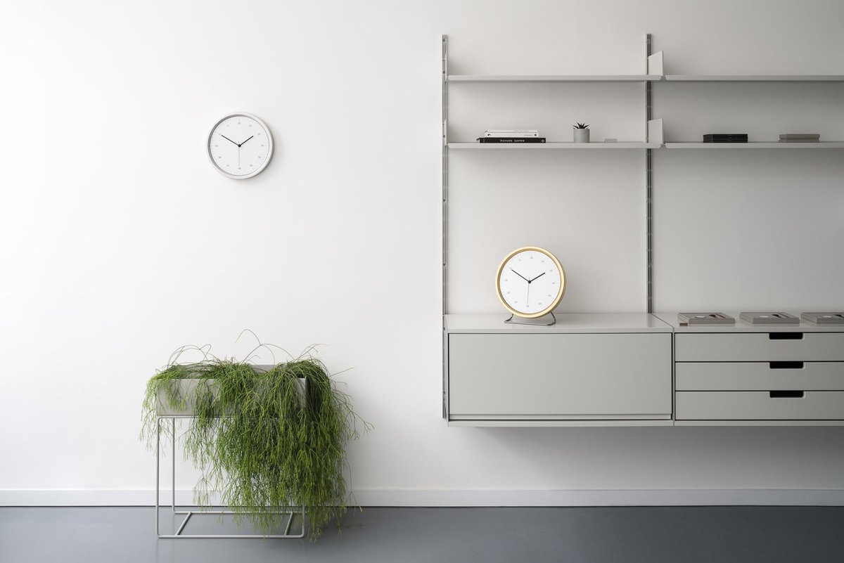 SATORI & SCOUT tweet media