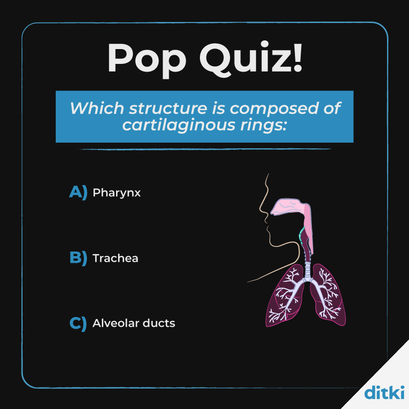 Anatomy quiz time! Drop your answers below ⬇️ Learn more: l8r.it/Nc7l #ditki #meded #medschool #medstudent #anatomy #A&P #anatomyqiuz #anatomytutorials #nursing #physicianassistant #osteopath #allopath #medicine #science #healthscience #nurse #premed #mcat #mbbs