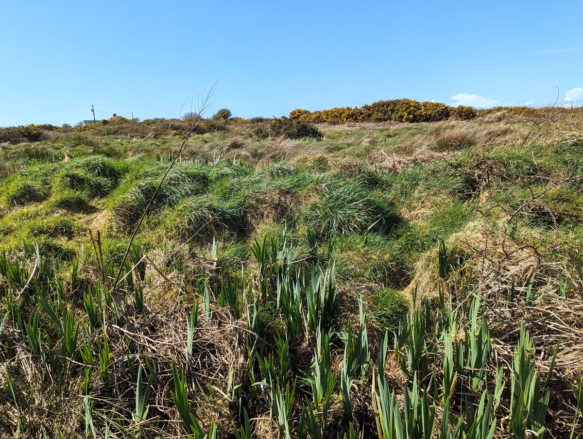 BioDataCentre tweet picture