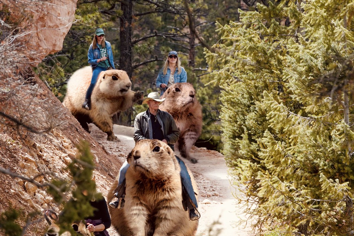 They're back! After years of selective breeding and dozens of mauled handlers, life has found a way. The Utah Giant Prairie Dog lives... and trail rides begin today! #AprilFools NPS Photoshop