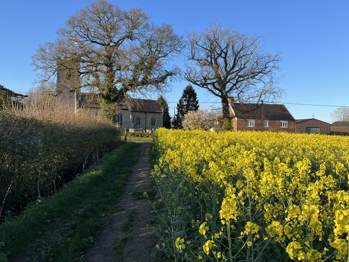 Lovely evening sunshine! A very Norfolk scene!