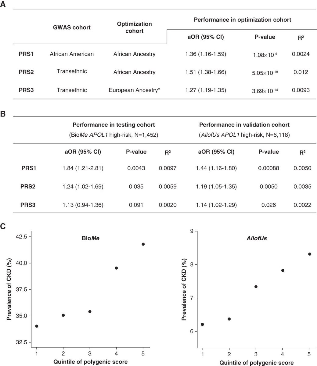 APOL1 high-risk (APOL1 HR) genotypes are increasingly being tested in clinical practice and as novel targets. This study evaluated the performance of a PRS for CKD stage 3 or higher in individuals with APOL1 HR bit.ly/CJASN0379 @girish_nadkarni @ogutierrez136