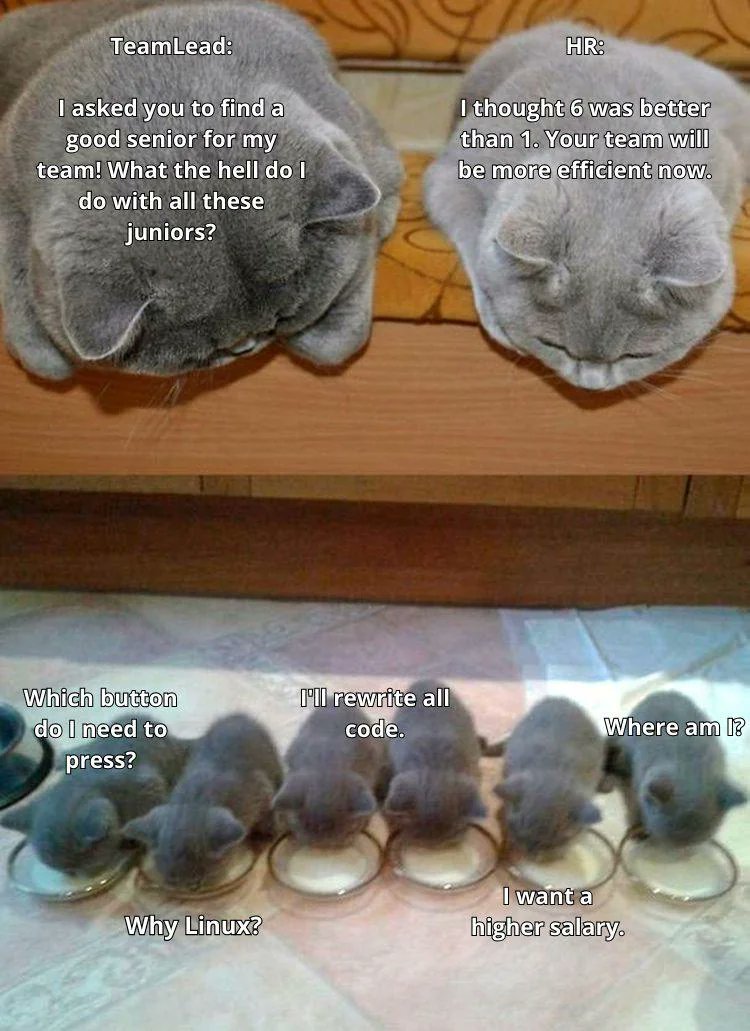 Star_Knight12's tweet image. Isn't it relatable to all junior interns?