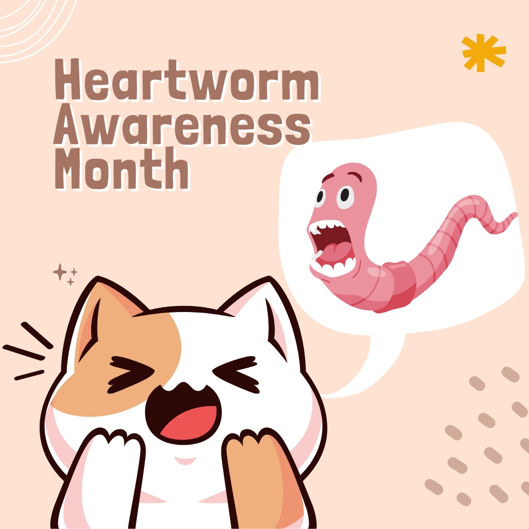 Protect your furry friend this Heartworm Prevention Month! Keep them safe from this deadly parasite. 🐾❤️ 

#AnimalHospitalofOvilla #Ovilla #AnimalVet #VetHospital #ExoticVet #ReptileVet #BirdVet #DogVaccine #CatVaccine #PetClinic #Veterinarian