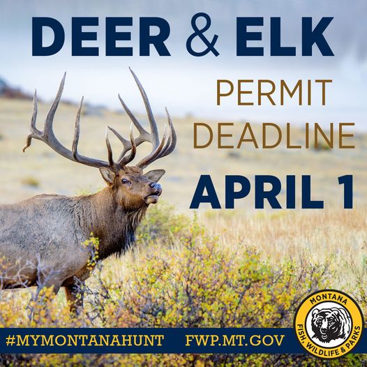 Today is the day! Hunters have until 11:45 p.m. MST today to apply for deer and elk permits and nonresident combination licenses. 2024 regulations changes and more here: fwp.mt.gov/homepage/news/…