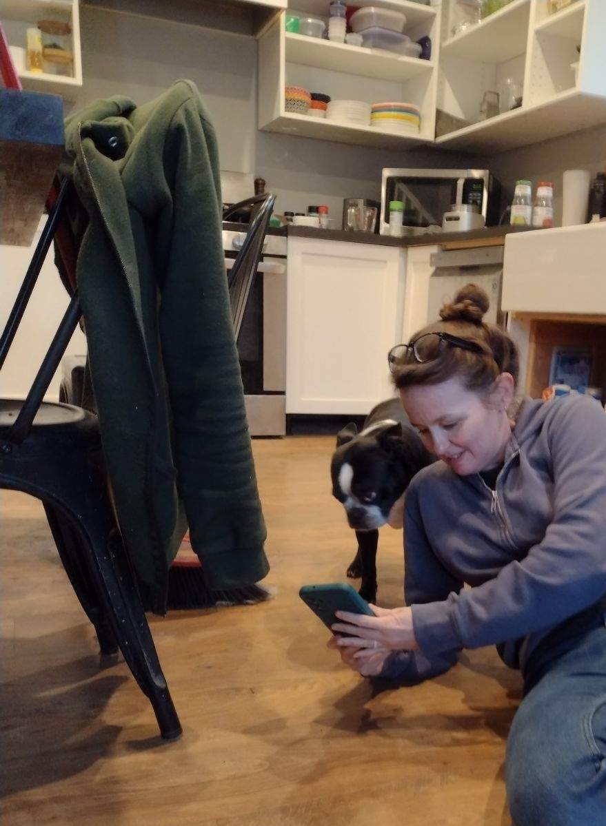 introvertedpnw's tweet image. Gus looks like Gruff when I share too many funny dog memes 😂