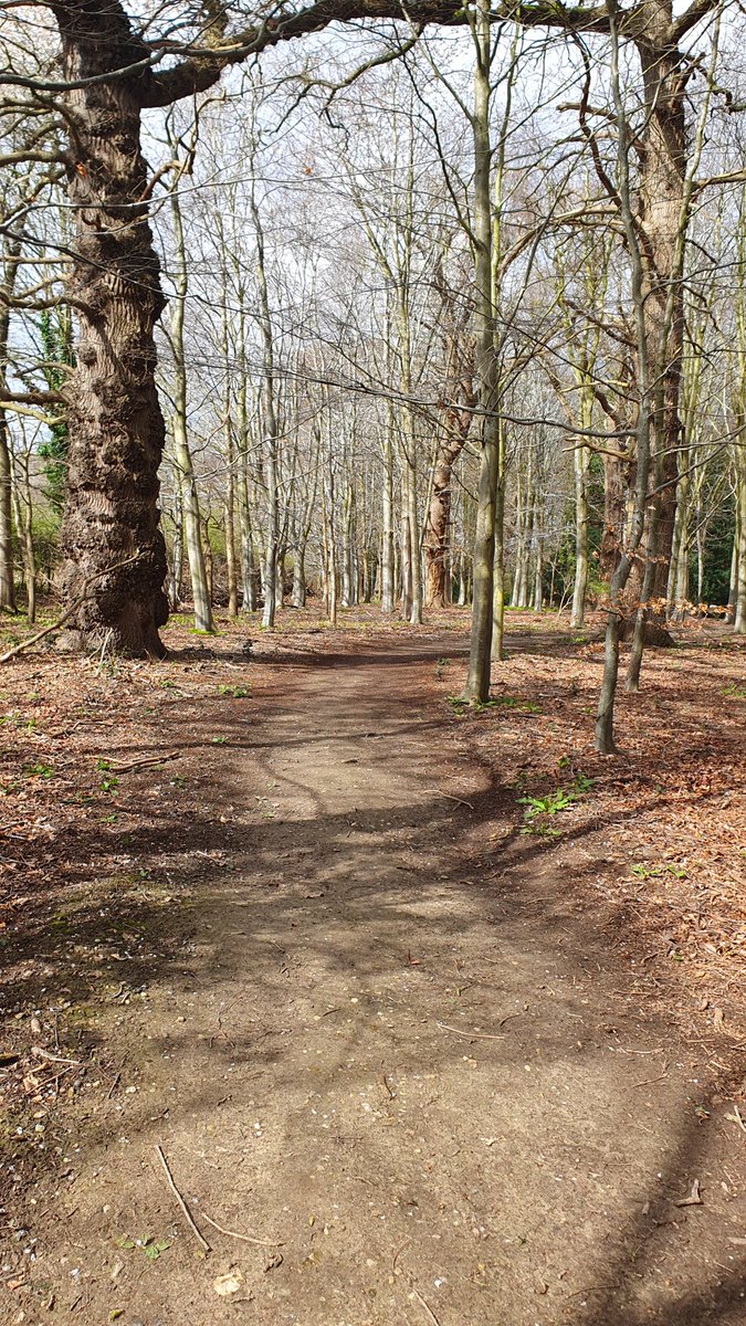 Just the most perfect meander through @fairhavengarden a place we love the most. Even on a busy Bank Holiday you can get lost in peace & quiet..