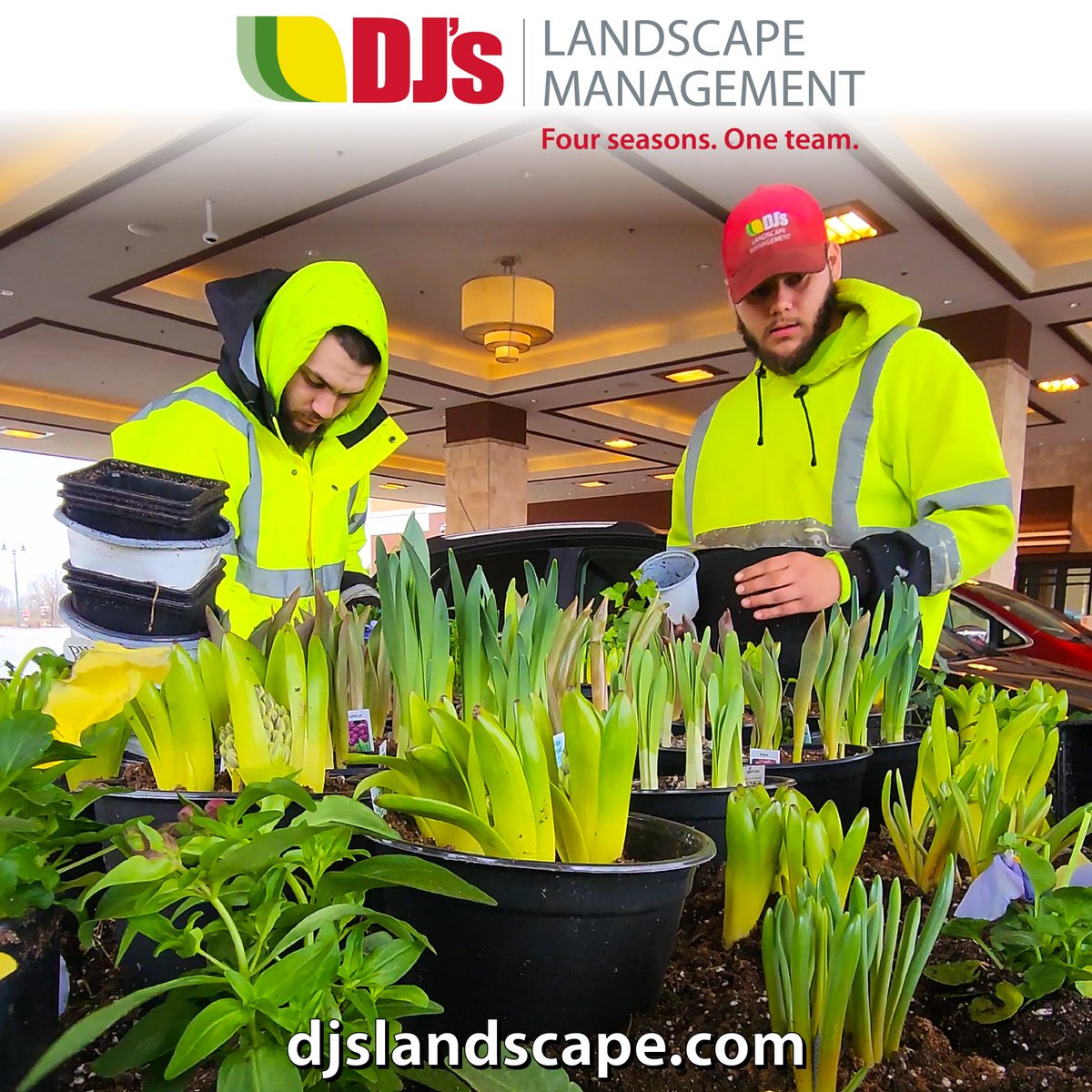 DJsLandscape's tweet image. #TeamDJ is out planting that #Spring seasonal color for our prestigious clients! We still have room on the teams ... djslandscape.com/careers

#michiganspring