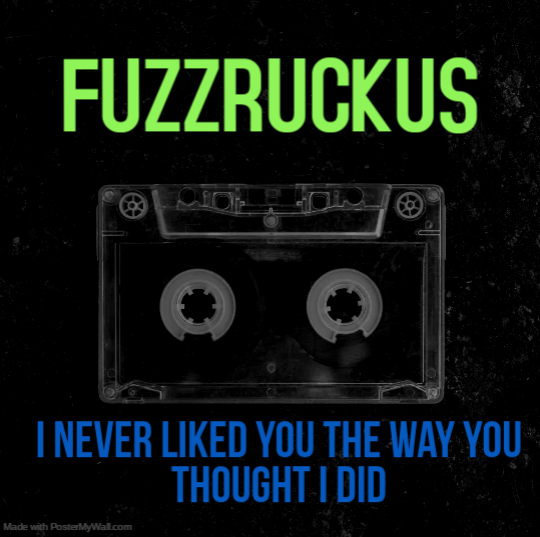 Our new single 'I Never Liked You The Way You Thought I Did' has more streams in 10 days than the previous single has in 2 1/2 months. 🤷🏼‍♂️You all (or algorithm) must really prefer power pop stuff to the more acoustic based songs. Let's keep it going! Link in bio and pinned post!