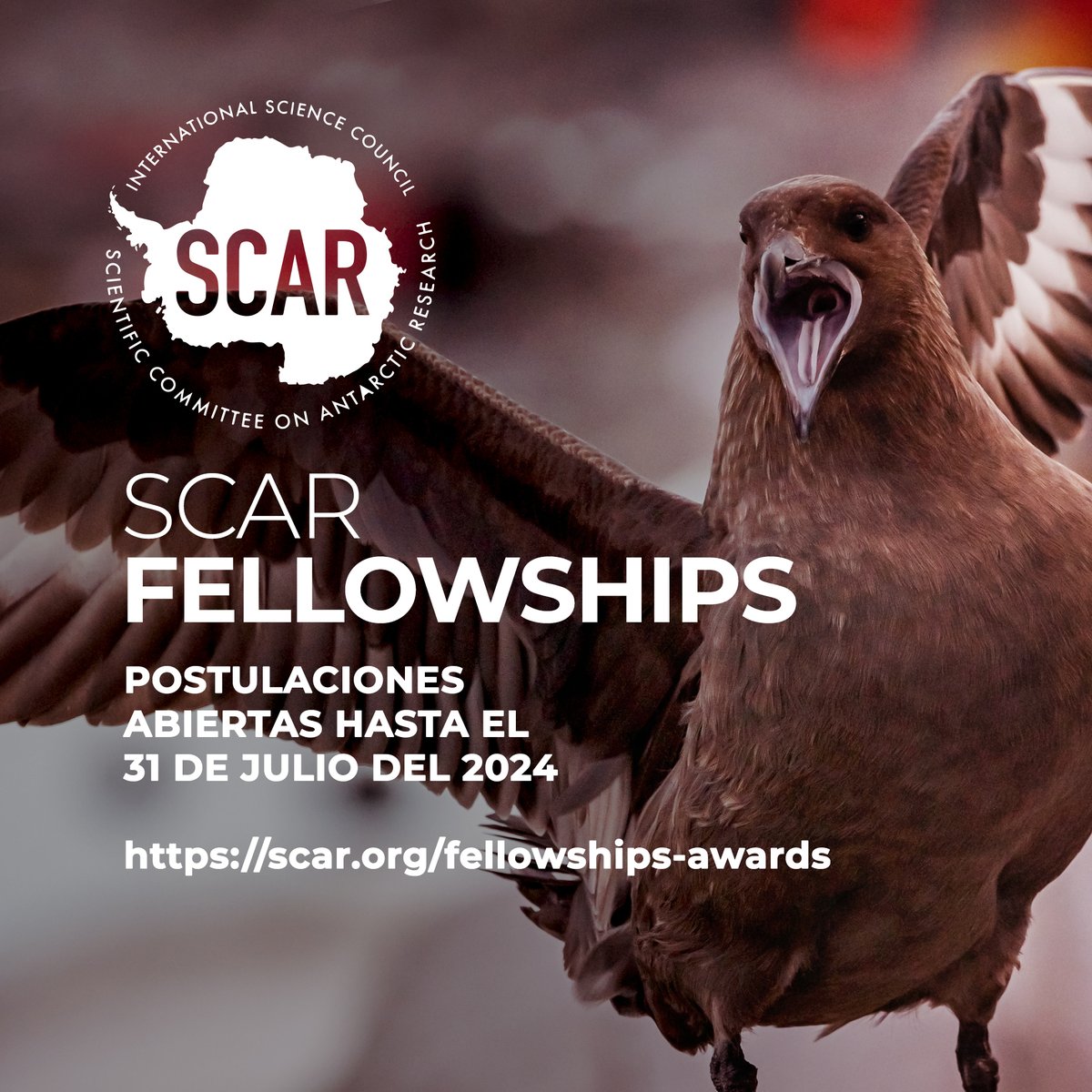 🇦🇶 ¡Ya se encuentran abiertas postulaciones para las becas de @SCAR_Tweets ! 😱 mayor información 👉 scar.org/fellowships-aw…