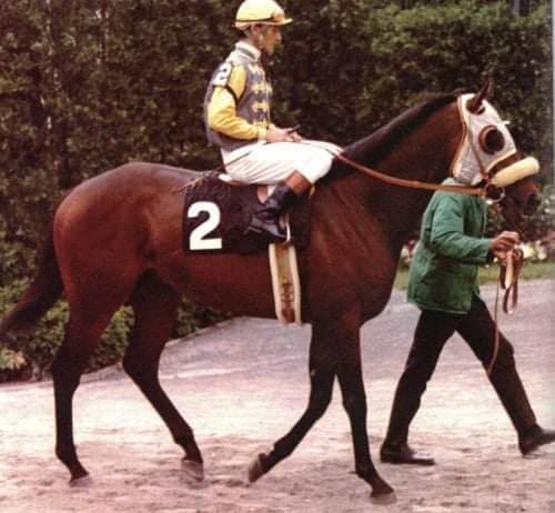 HORSERACING1002's tweet photo. KEY TO THE MINT (USA) 1969
(GRAUSTARK - KEY BRIDGE BY PRINCEQUILLO)
#KeytotheMint https://t.co/CLWP7Og6Pk