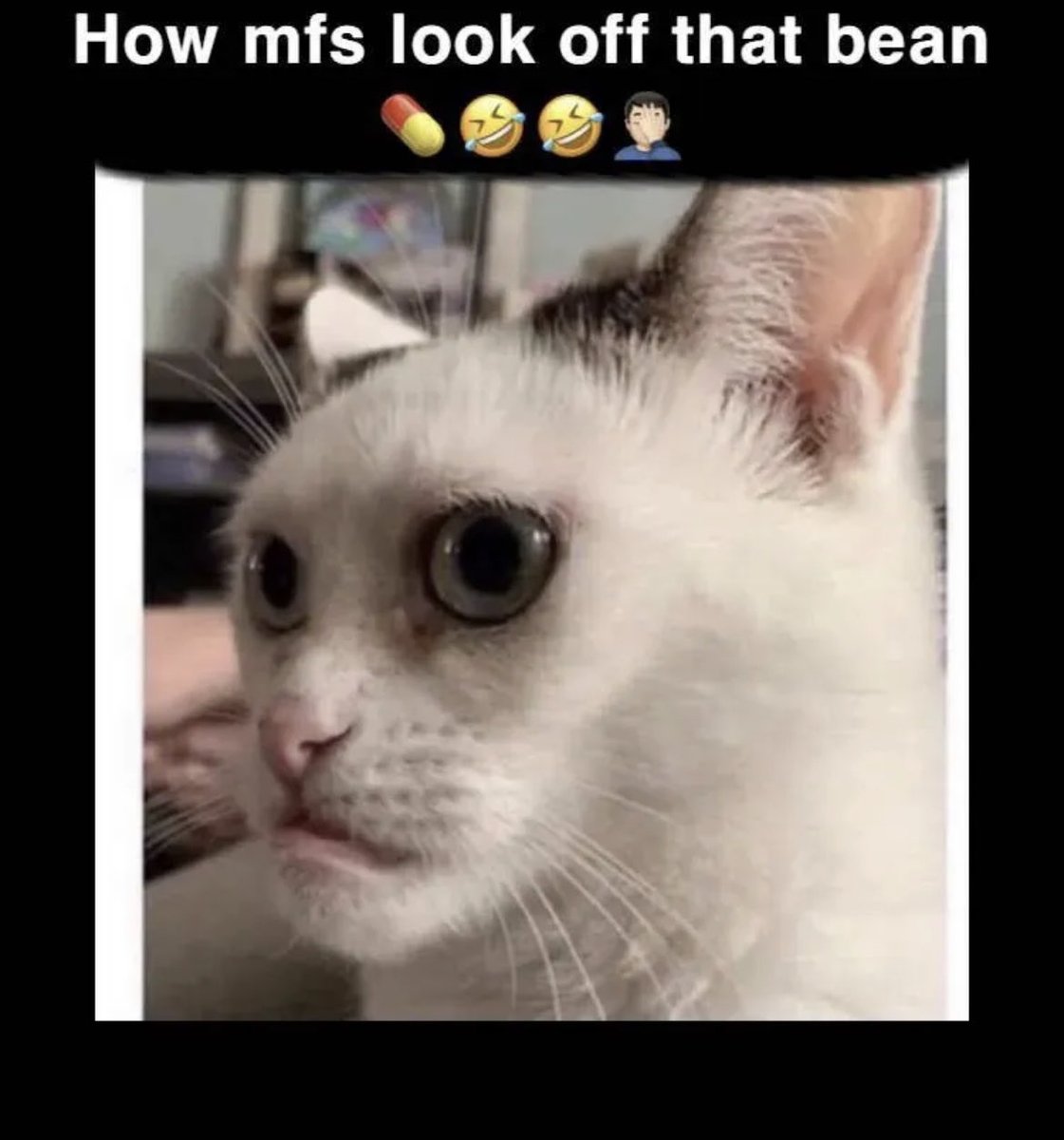 karem ➐ tweet media