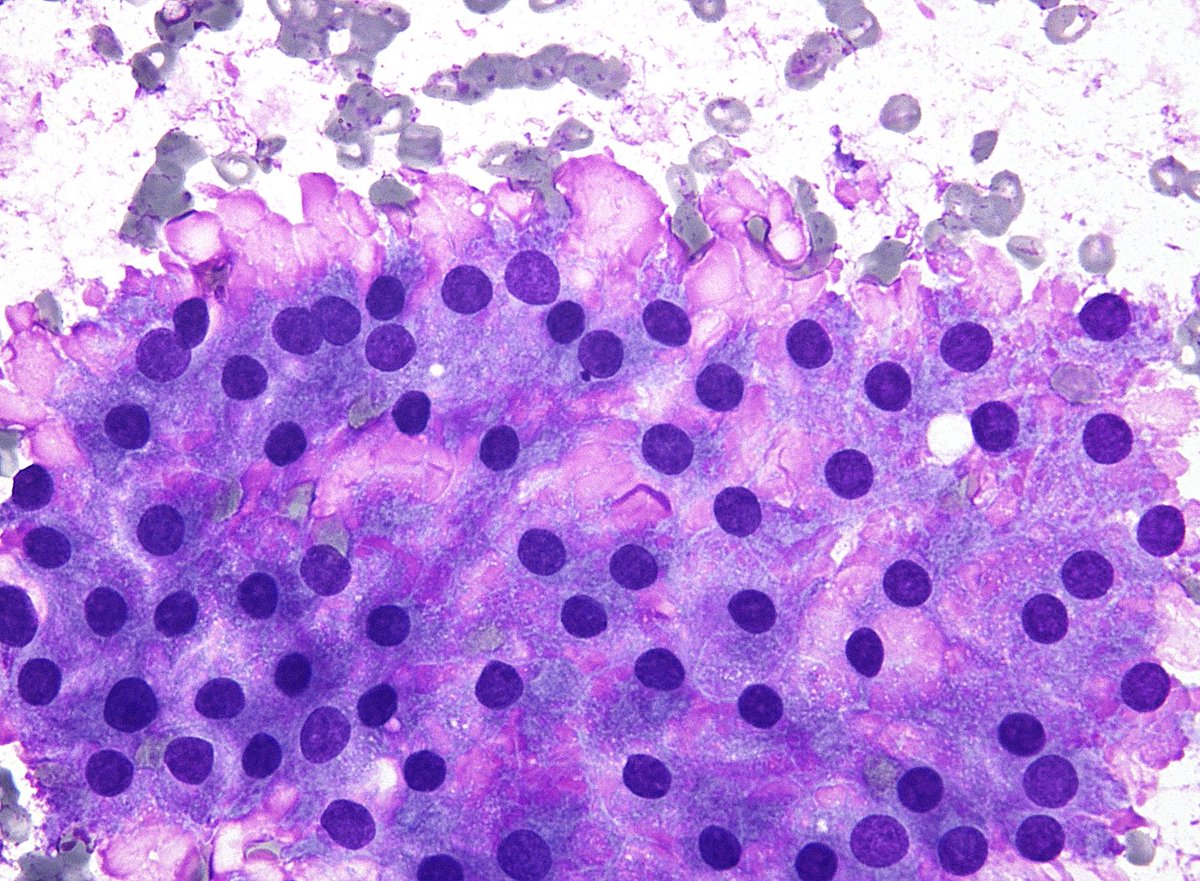 Syed Z. Ali tweet media