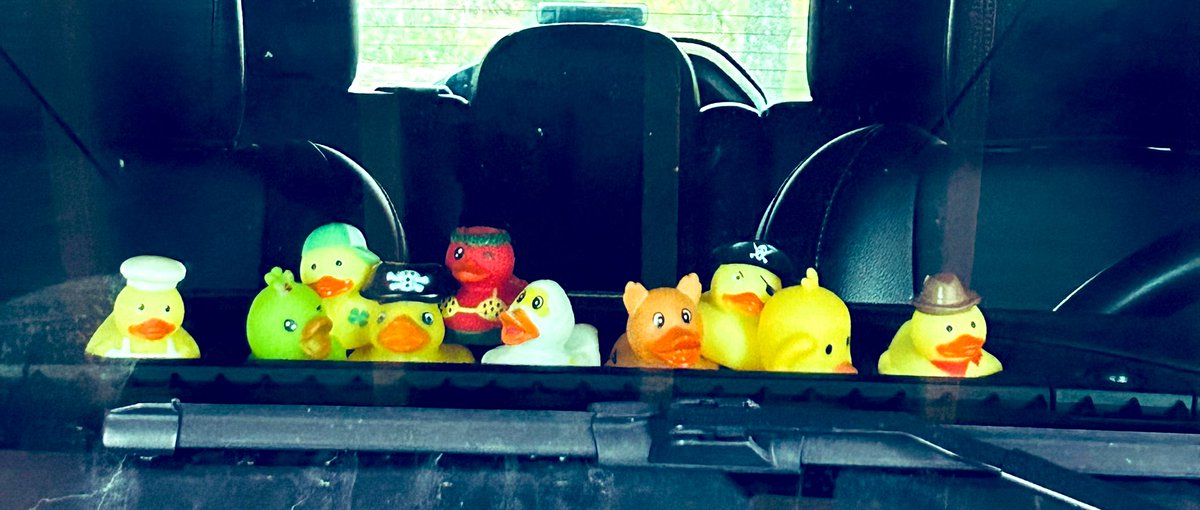 asianposh2022's tweet photo. Had a wonderful run! #9miles Wanted to introduce my duckies!  @Jeep ✌️ Drove Honda Pilot during my mommy days… Jeep Girl Now 0IIIIIII0 🐥🐤 https://t.co/hzxuKxVRgc