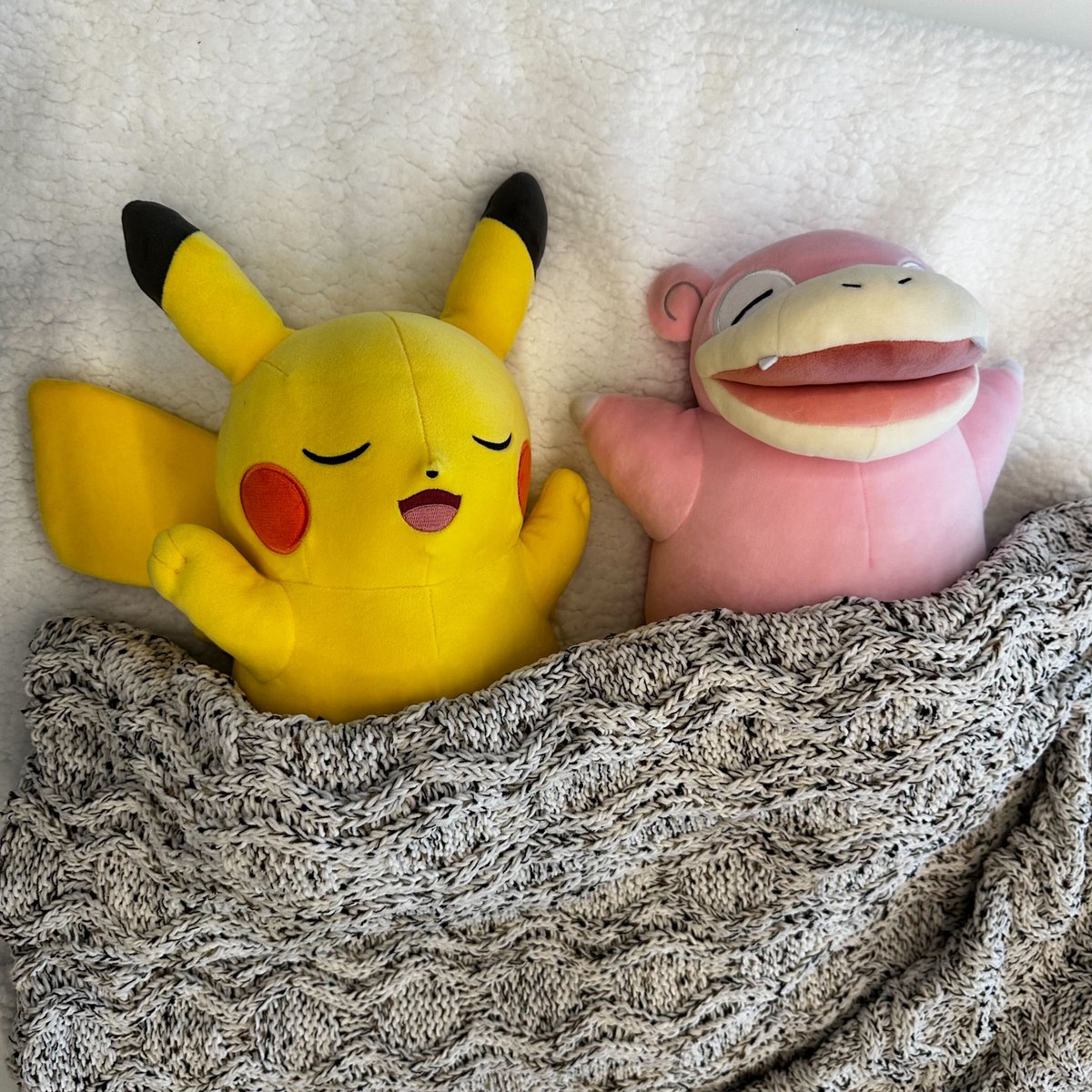 Pokémon tweet media