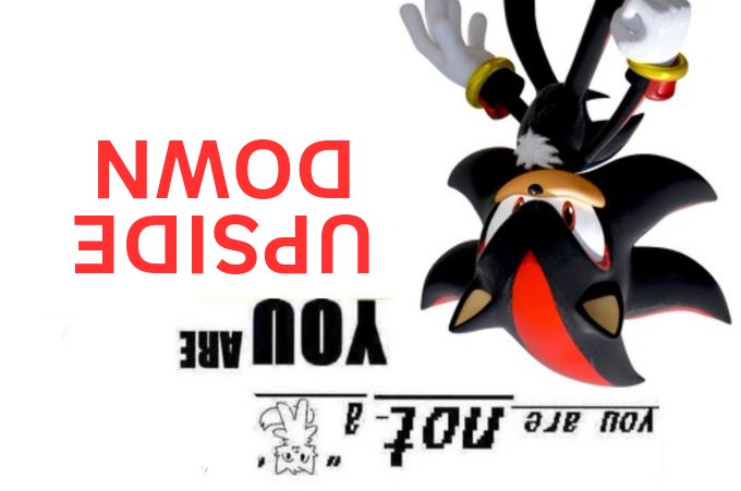 Shadow the Hedgehog (@heisallofhim) on Twitter photo 