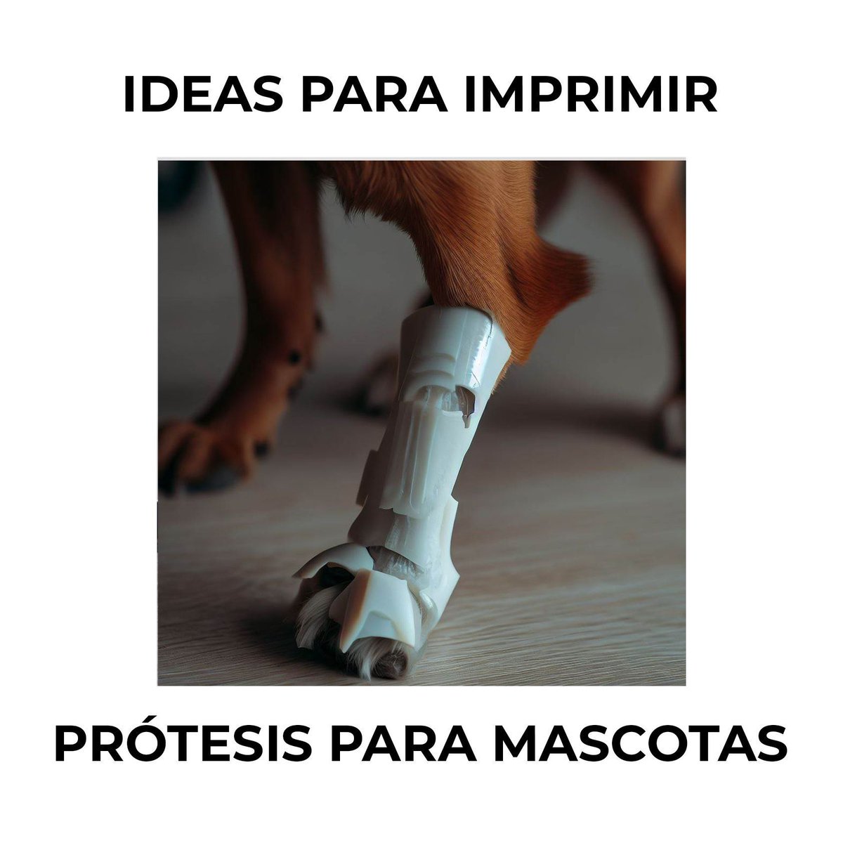 ¿Conoces alguna aplicación sorprendente de la #impresión3D en la medicina veterinaria? 🐾🩺 #Veterinaria #InnovaciónAnimal #Tecnología3D #Innovación3D #FabricaciónAditiva #Diseño3D #CreaciónEn3D #MakerMovement #Impresoras3D #FabricaciónDigital #ArteEn3D #TecnologíaCreativa