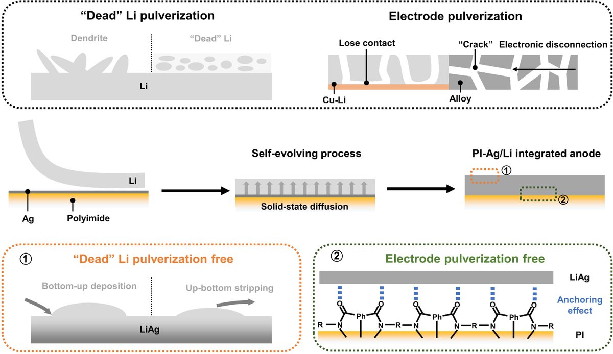 #Batteries made up of polyimide-nanosilver/lithium alloy anodes are light, powerful, and consistently rechargeable, a new study finds, providing key benefits for the growing market of electric vehicles. scim.ag/6r0