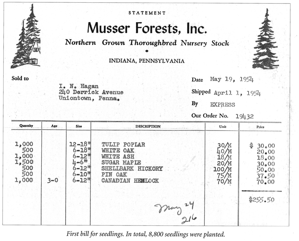 On this day in 1954, 8,800 trees began arriving at the Hagan property to be planted on a sparsely wooded hillside. Over their thirty years at Kentuck Knob, the Hagans planted over 70,00 across their property.