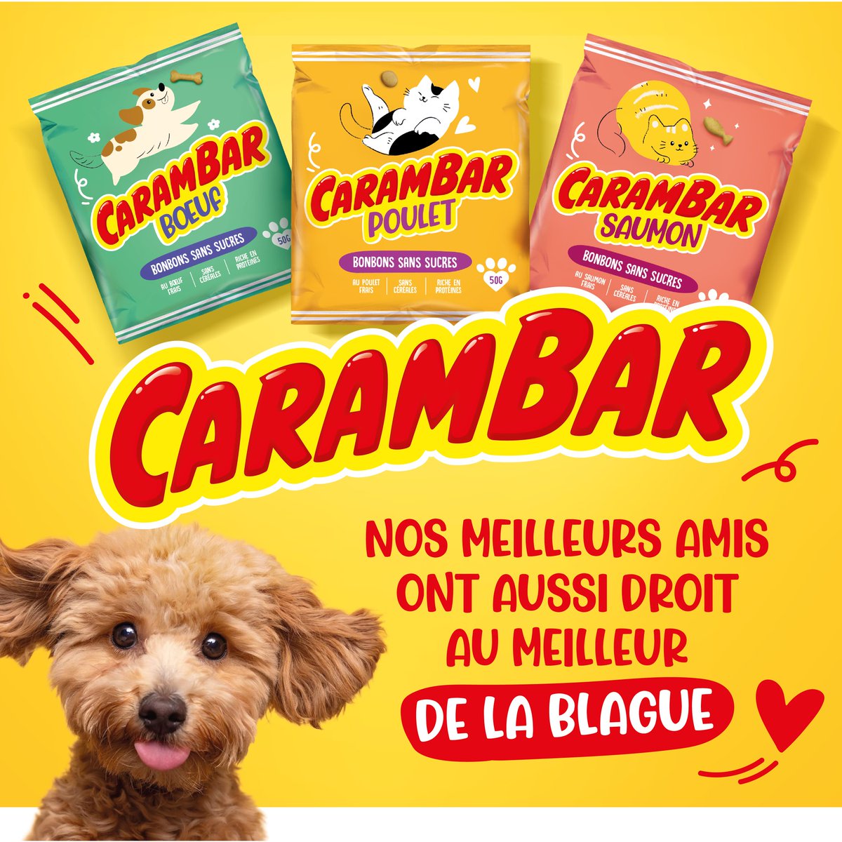 Caramabar n'a pas encore sa gamme Petfood mais nous sommes toujours les premiers sur le poisson... d'avril 😜 
Joyeux premier avril à tous !