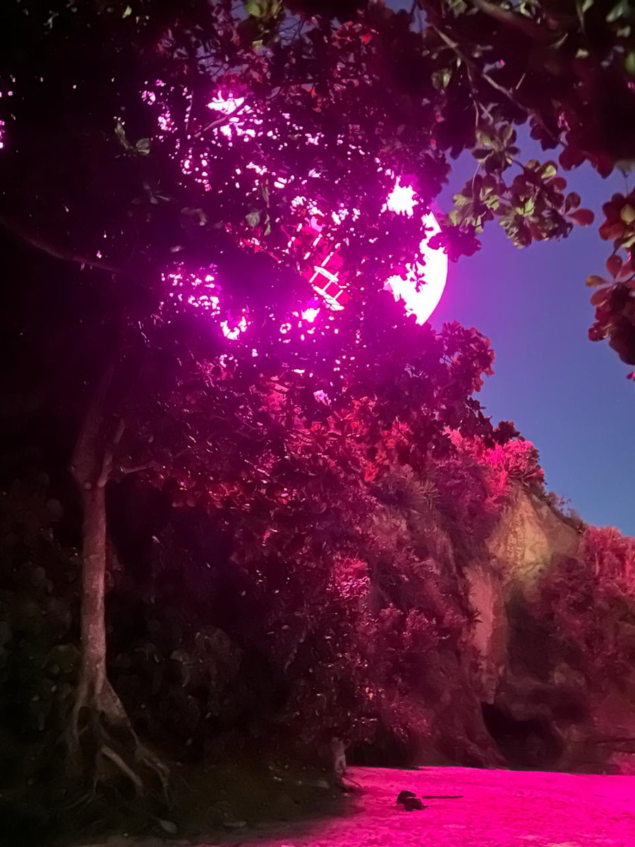 E mais uma noite iluminada sob o Museu da Boa Viagem,  e teve ovos e cenouras de Páscoa, foi uma noite de boas colheitas.  <a href="/BoaNiteroi/">Pegação BOA VIAGEM NITERÓI/ São Gonçalo</a> <a href="/PegacaoBoa/">Pegação Boa Viagem - Niterói</a> <a href="/AtvNikity/">Nikity Atv</a>