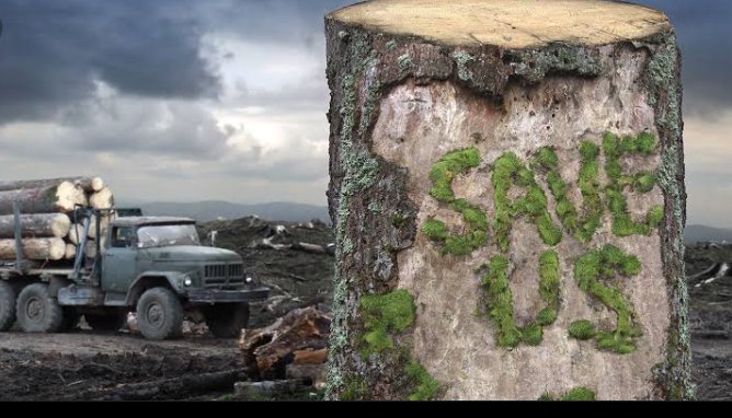 EnvironmentGo! tweet media