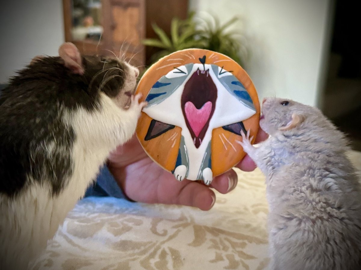 Steph Laberis - Available for Work! tweet media