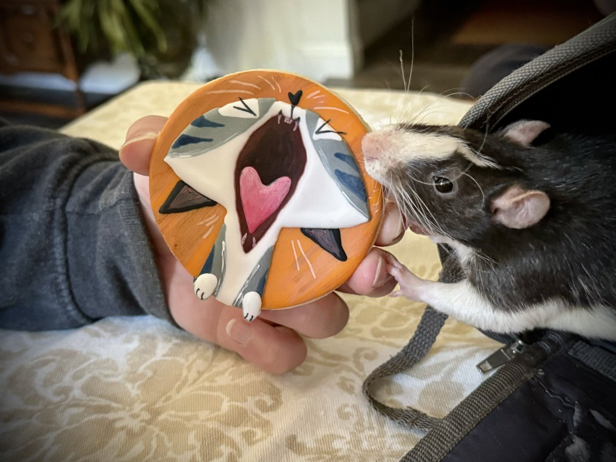 Steph Laberis - Available for Work! tweet media