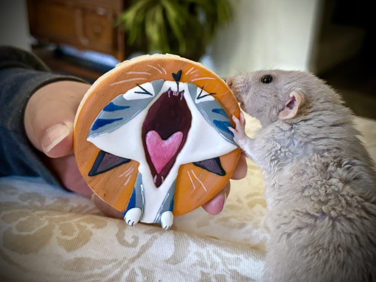 Steph Laberis - Available for Work! tweet media