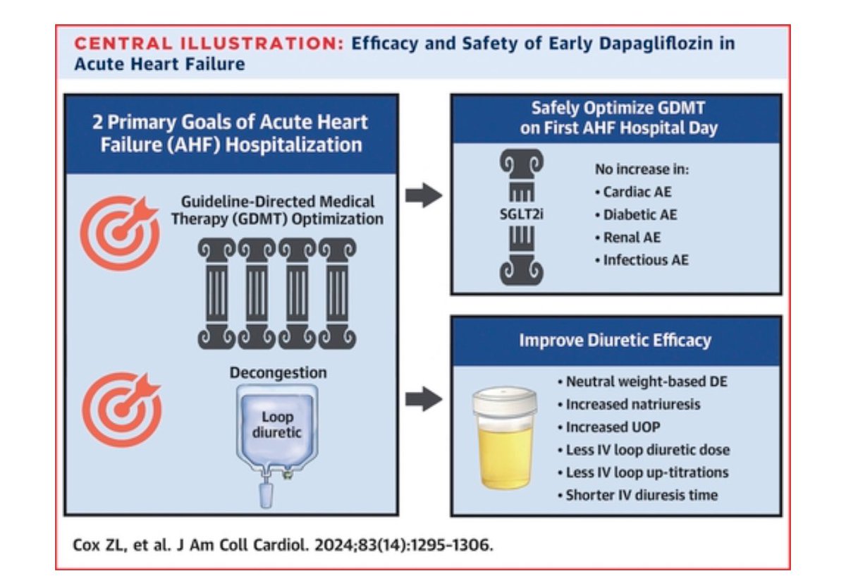 🔴Efficacy and Safety of Dapagliflozin in Patients With Acute Heart Failure

👥240 &lt; 24 hours of 🏥 presentation for hypervolemic AHF to dapagliflozin 10 mg once daily

👉Dapagliflozin was associated with ⬇️ loop diuretic doses and fewer intravenous diuretic up-titrations to