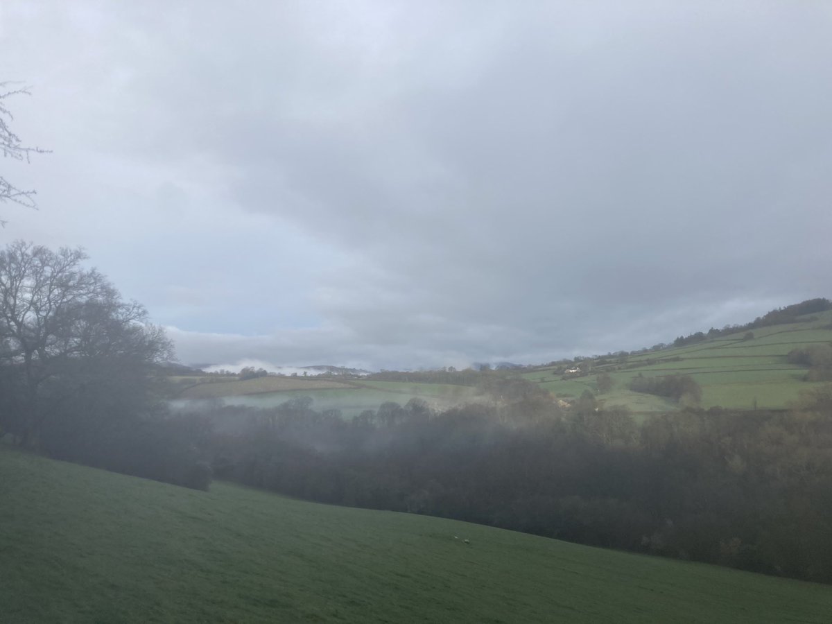 Ty Carreg tweet media