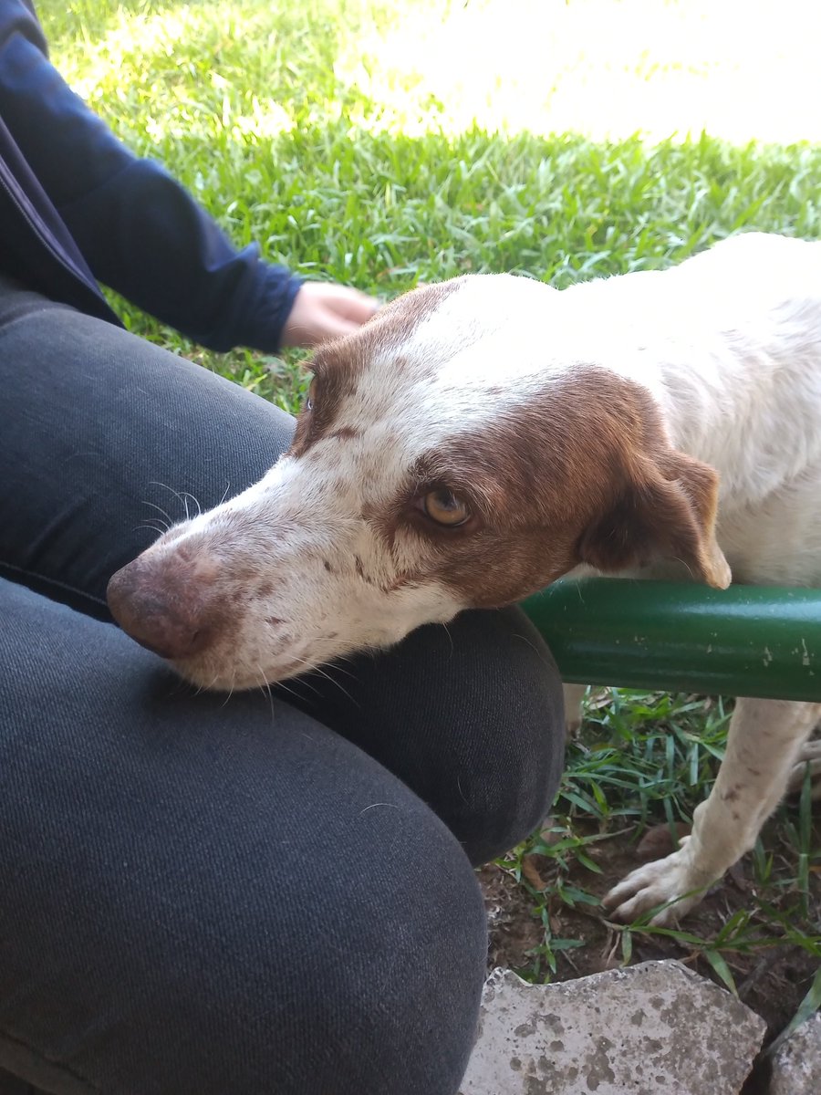 studmika's tweet image. hoje Ꮚ⁠˘⁠ ⁠ꈊ⁠ ⁠˘⁠ ⁠Ꮚ