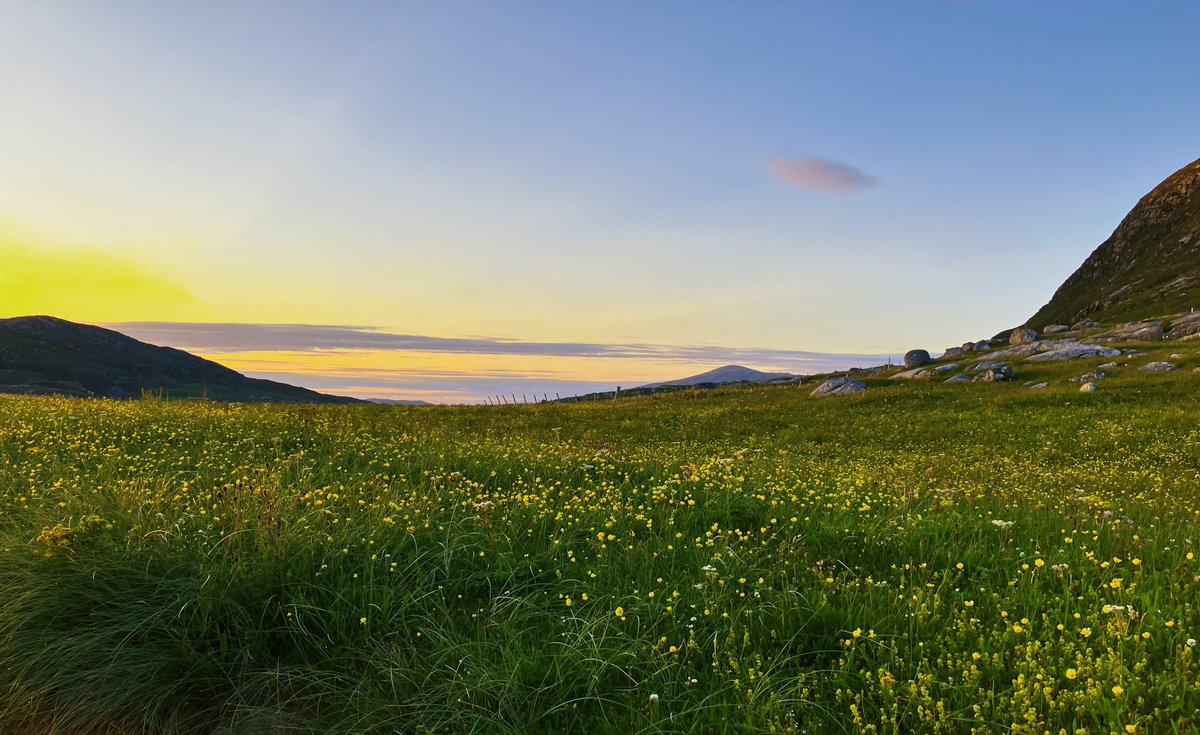 Huishinish machair. Summer 2023. #scottishislands #hebrides #outerhebrides #westernisles #scotland #lovescotland #visitscotland #scotlandphotography #andydrane